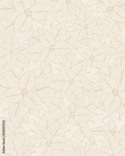 Poinsettia flower background wallpaper. Christmas floral backgrouind. Cream colored background