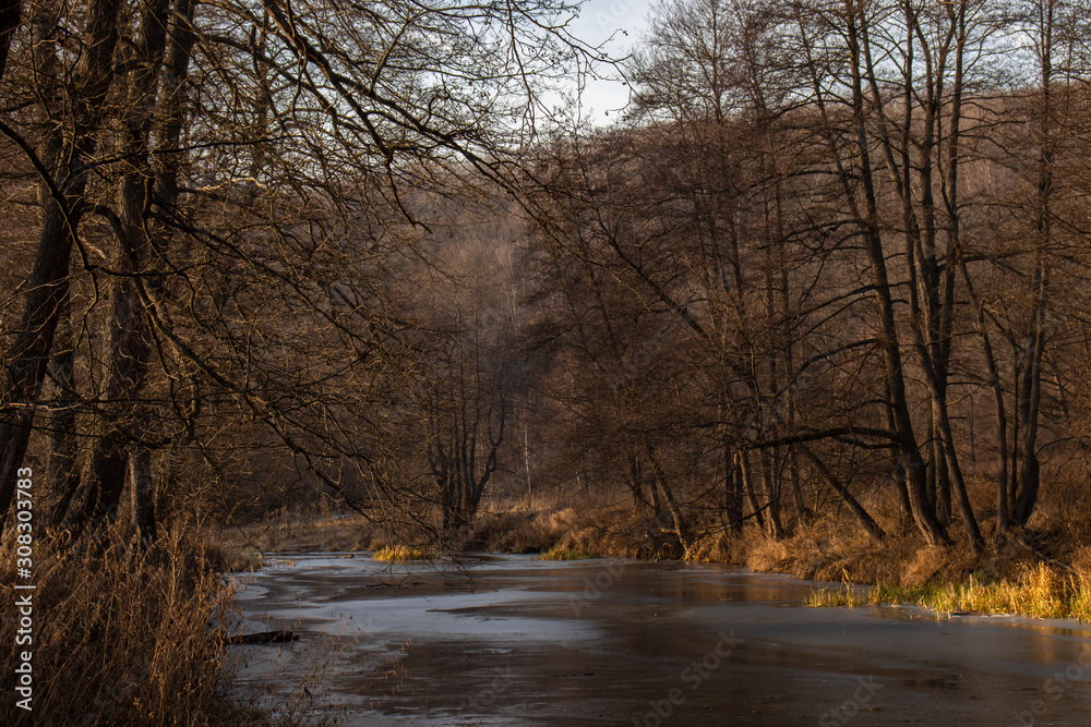 Frozen river in the forest at the beginning of December, Russia Frozen river in the forest at the beginning of December, Russia
