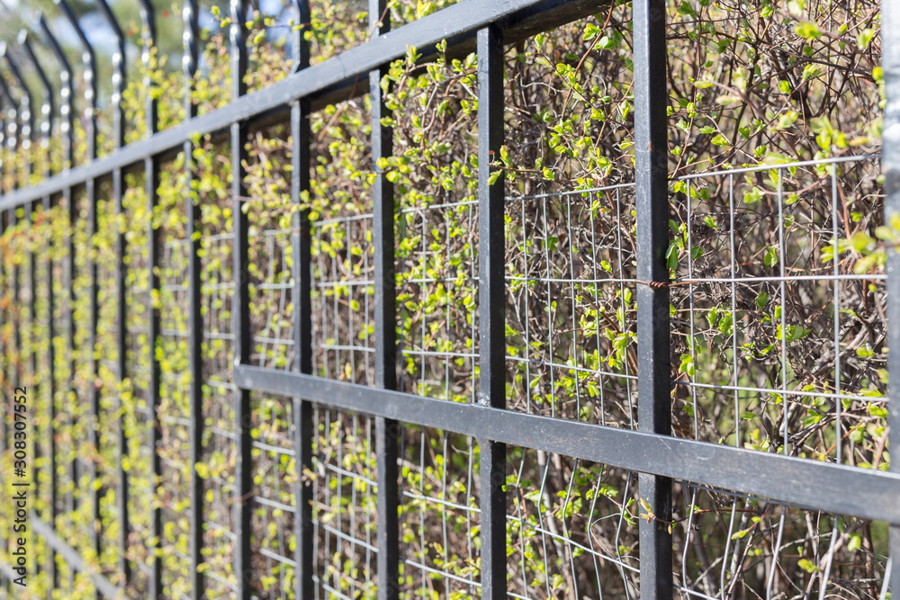 Perspective of a metal fence. Perspective of a metal fence.
