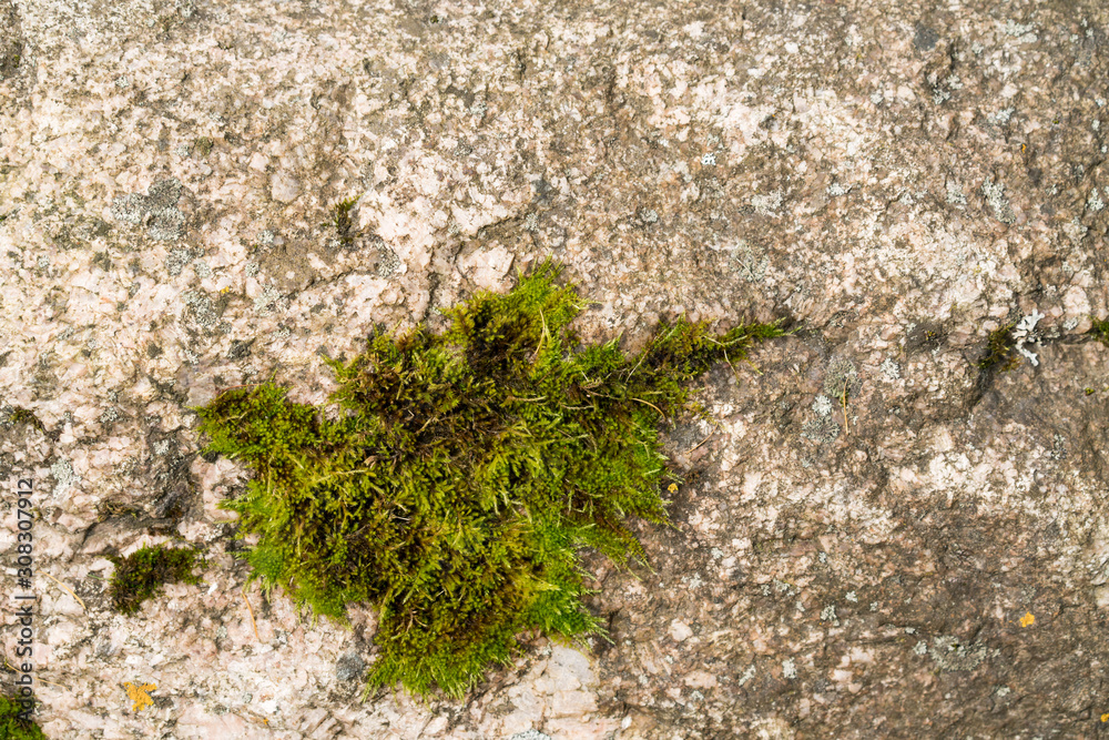 Stone rock texture. Nature, grunge texture, background. Long web banner Stone rock texture. Nature, grunge texture, background. Long web banner