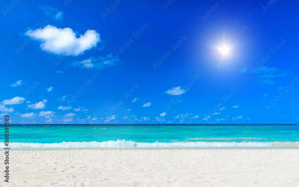 beautiful beach and tropical sea. travel landscape