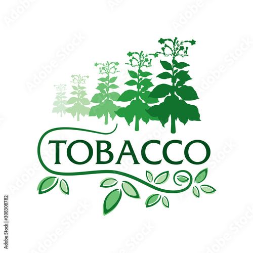 Vector logo for natural tobacco products, goods