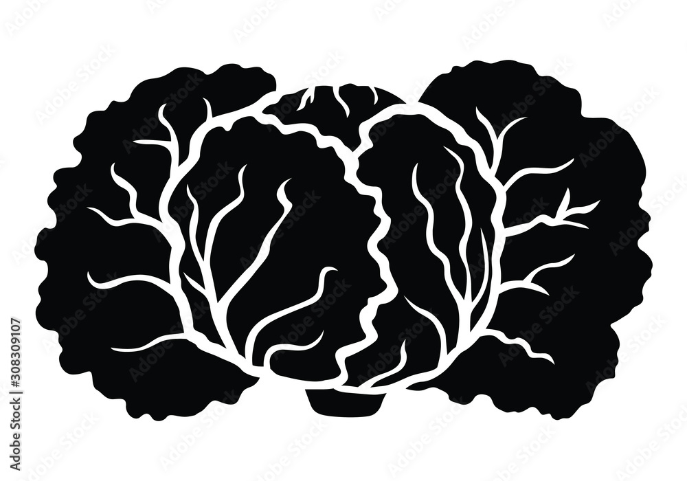 Vector illustration of savoy cabbage silhouette icon Vector illustration of savoy cabbage silhouette icon