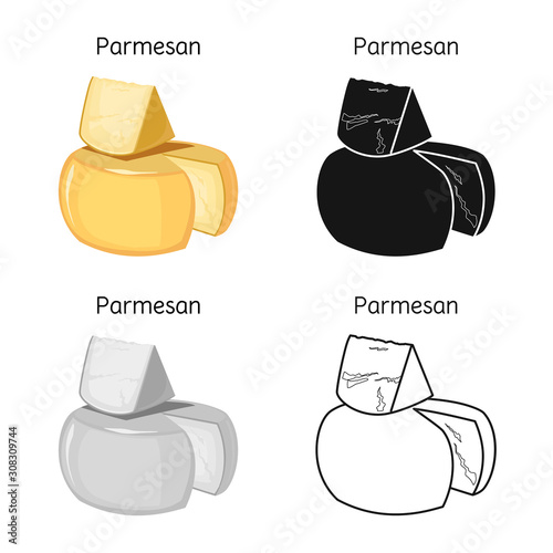 Vector design of cheese and parmesan symbol. Graphic of cheese and slice vector icon for stock.