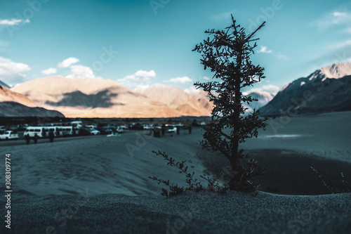 Ladakh