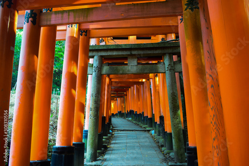 Japanese temple Torii alley