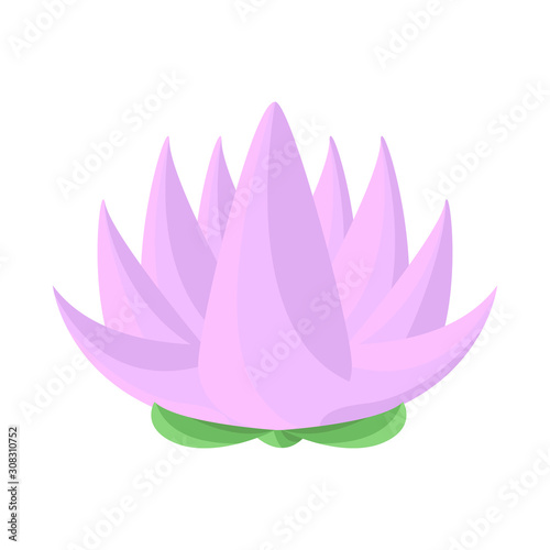 Isolated object of flower and lotus symbol. Set of flower and leaf stock symbol for web.