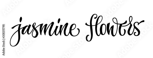 Hand drawn spice label - jasmine flowers. Vector lettering design element. Isolated calligraphy script style word for labels, shop design, cafe decore etc