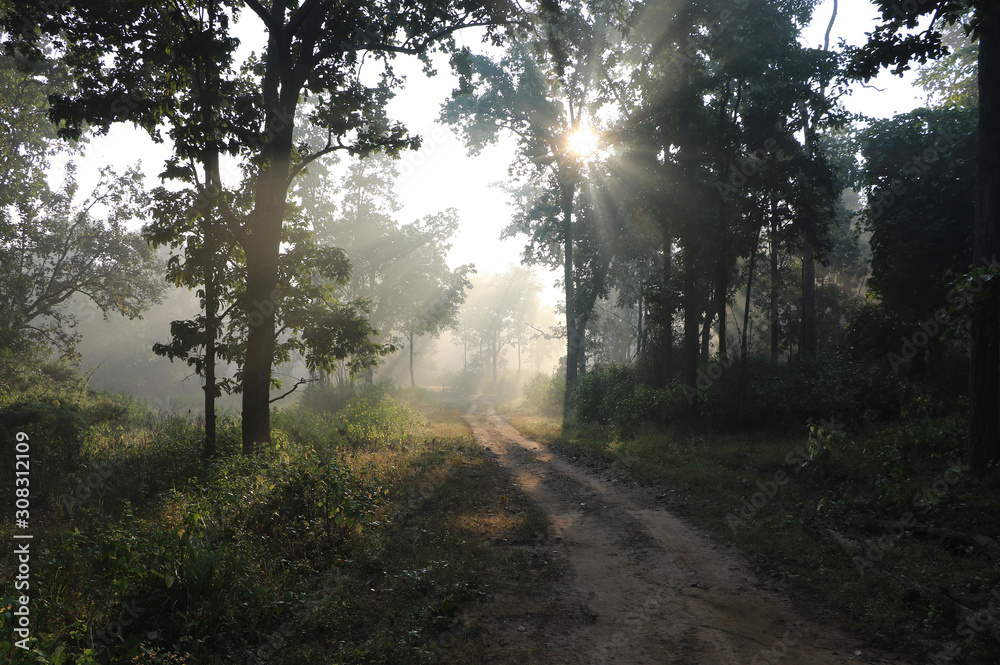Fototapeta premium kanha