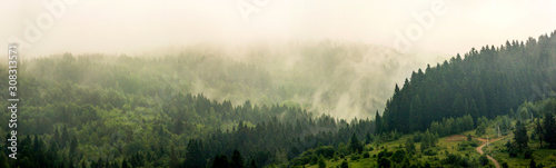 a carpathian landscape at the morning