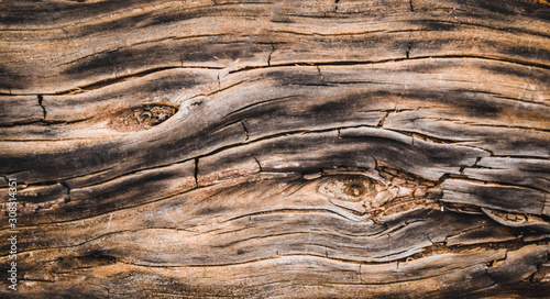 old wood texture plank backround