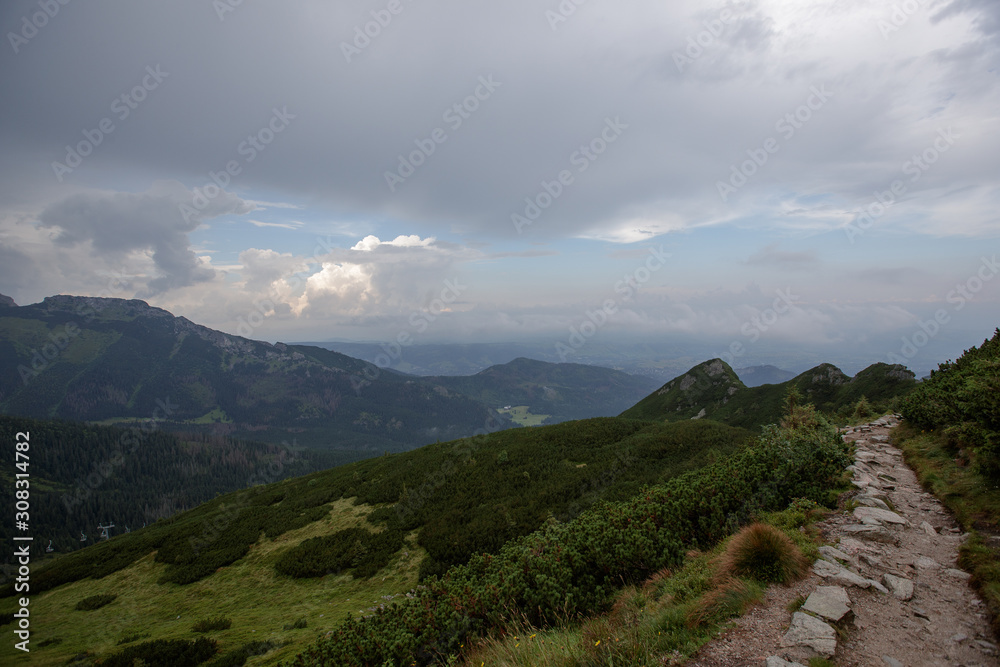 Naklejka premium view from the mountain