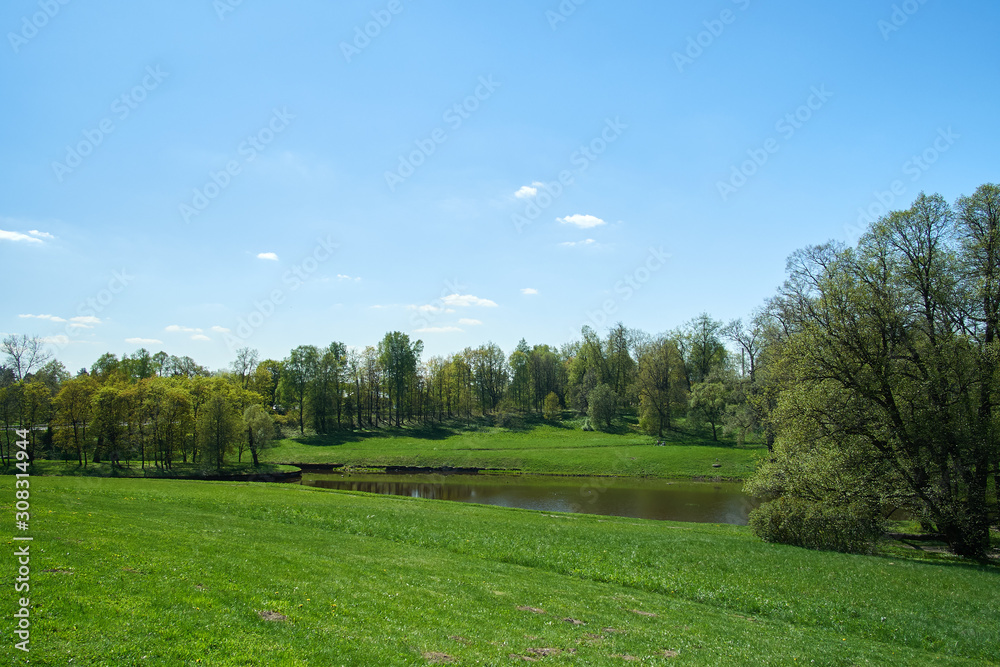 Green city park in sunny summer day Green city park in sunny summer day