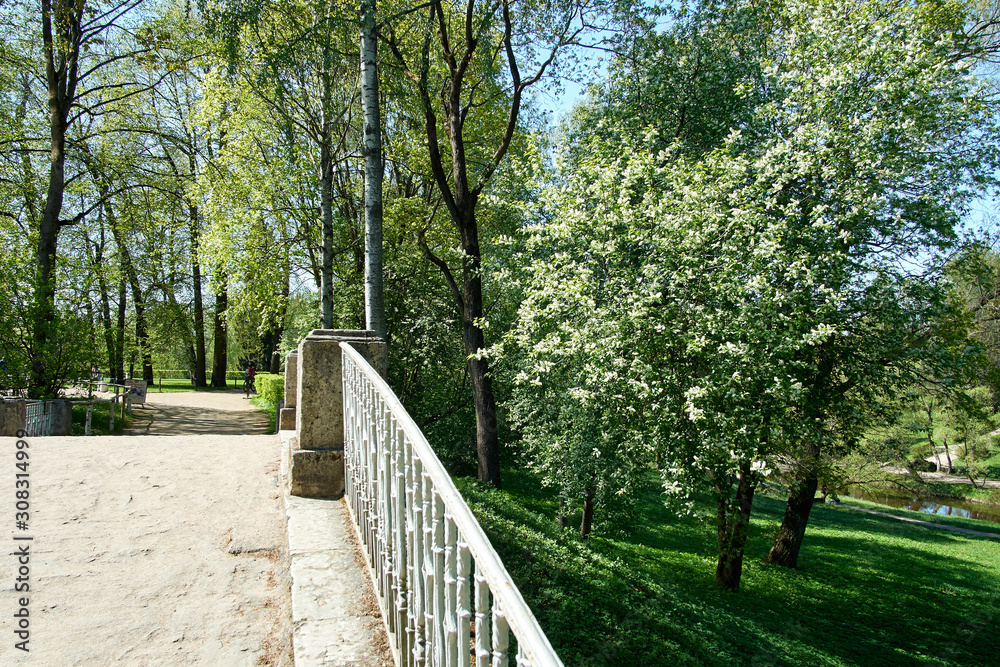 Balustrade of the old bridge in the park