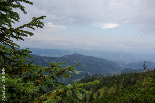 mountain landscape with trees