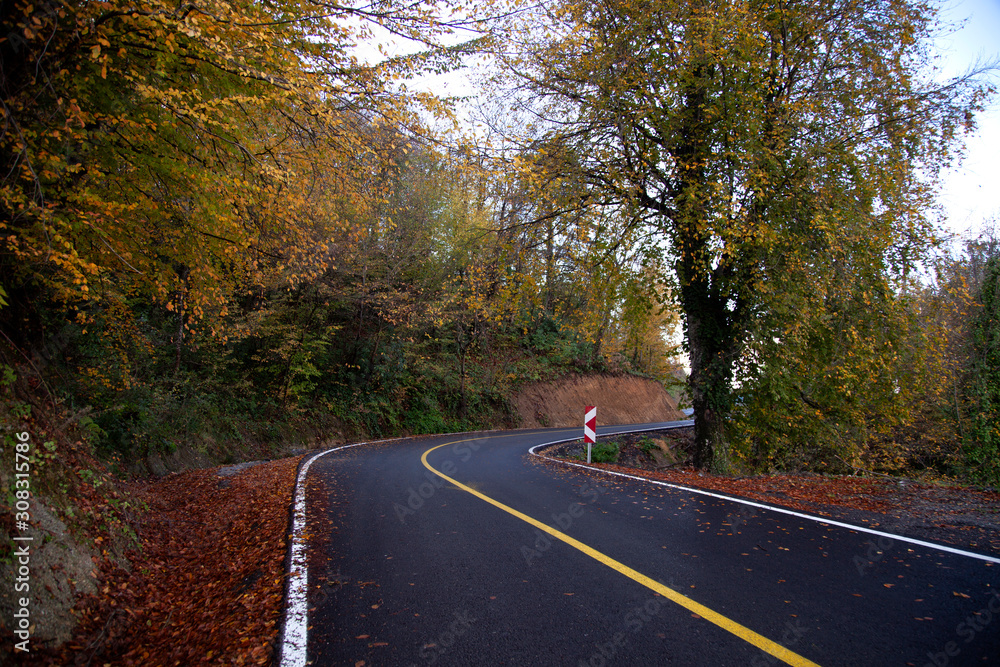 Fototapeta premium bends in the fall, asphalt road view