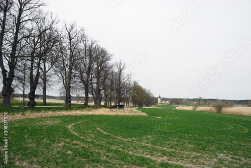 Canvas Print view of the park, sweden, stockholm