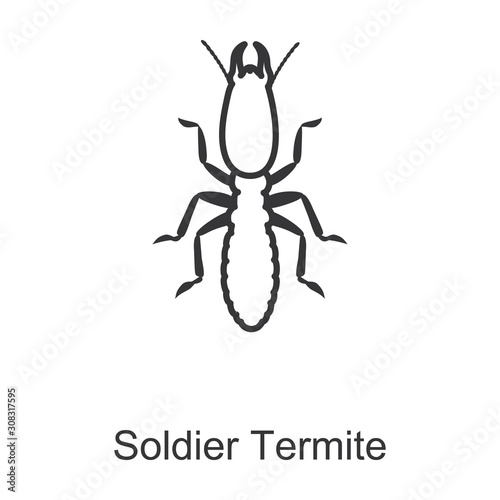 Termite vector icon.Line vector icon isolated on white background termite.