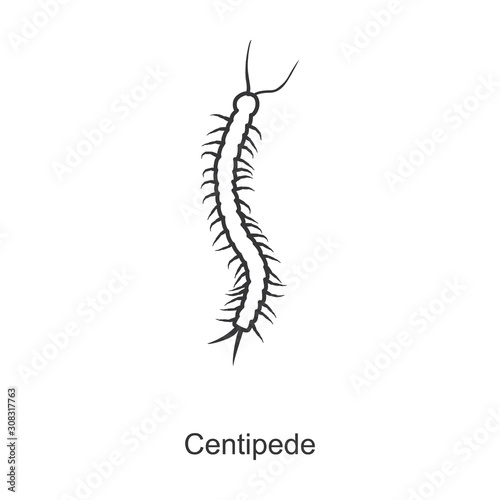 Canvas-taulu Centipede vector icon