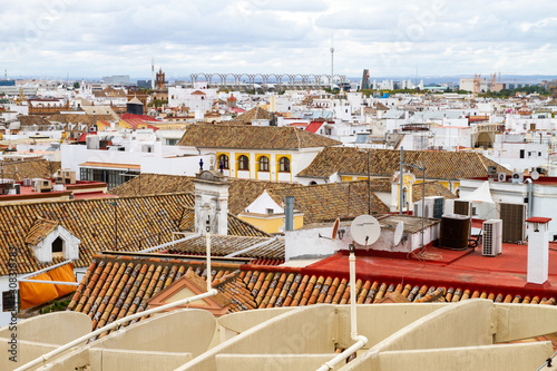 Sevilla Mushrooms  