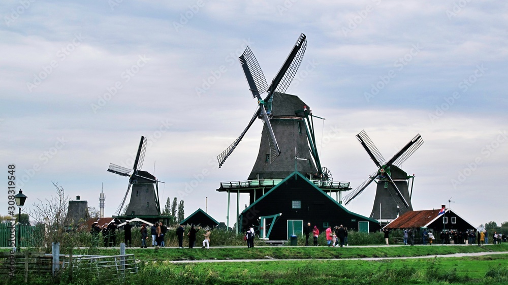Obraz premium dutch windmill in holland