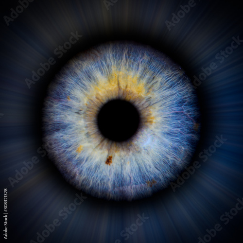 Iris