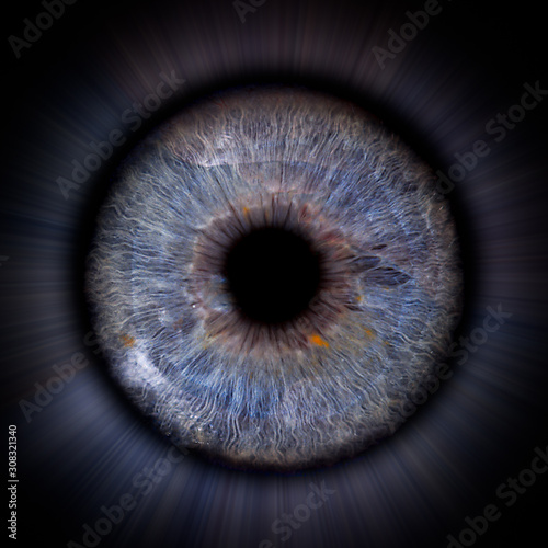 Iris
