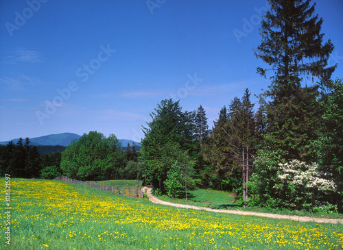 Beskid Slaski Mountains, Poland photo