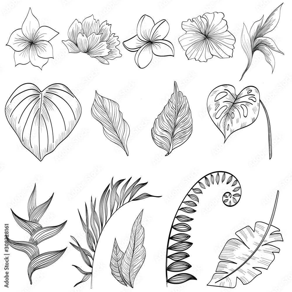 set of floral elements tropical leaves and flowers - obrazy, fototapety, plakaty 