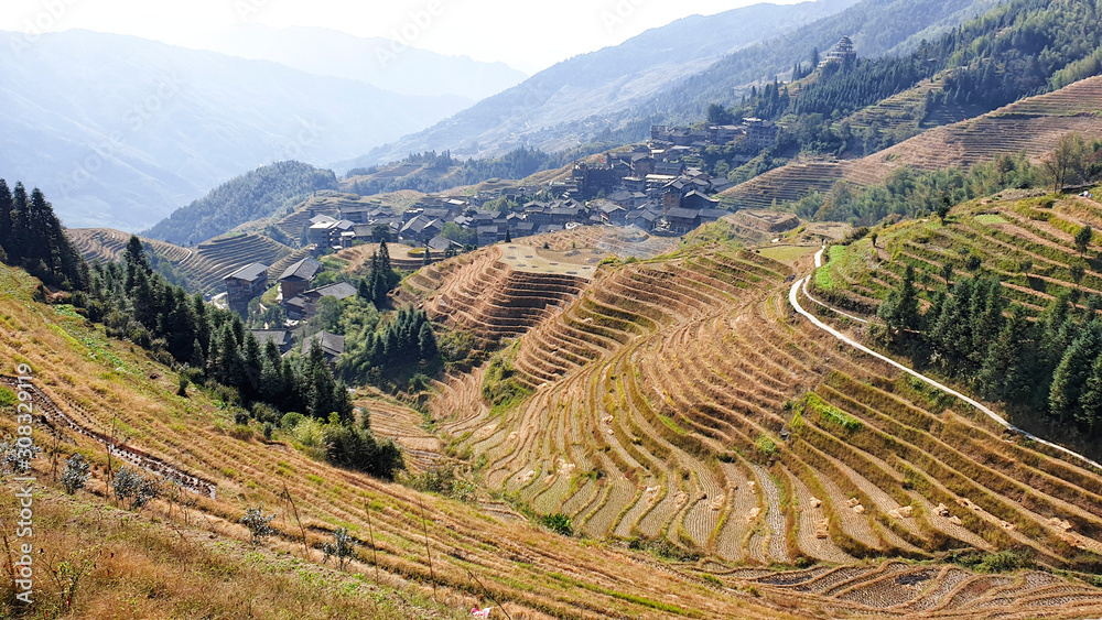 The scenery wavy Longsheng Rice Terraces after harvest - North Guillin, Guangxi Province, China The scenery wavy Longsheng Rice Terraces after harvest - North Guillin, Guangxi Province, China