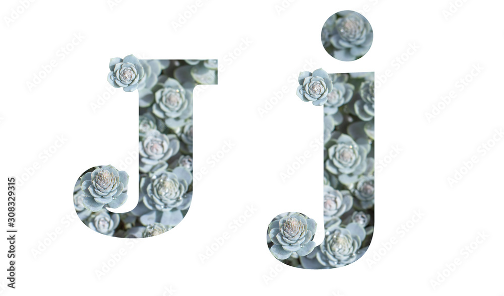 Letter J uppercase and lowercase isolated on a white background. English alphabet decorated Letter J uppercase and lowercase isolated on a white background. English alphabet decorated