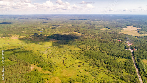 Belovezhskaya Pushcha in Belarus country Kamenets District of Brest Region near State Nature Protection Institution National Park Belovezhskaya Pushcha. Beautiful aerial view. Forest in reserve photo