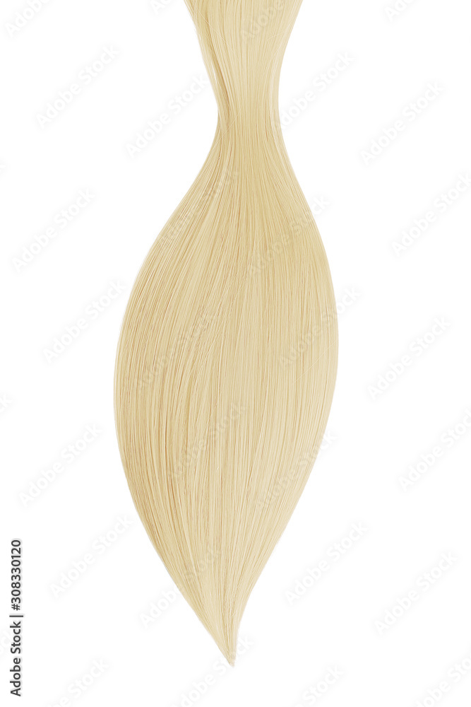 Blond hair on white background, isolated. Long ponytail