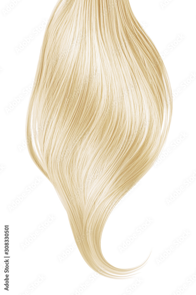 Blond shiny hair on white background, isolated. Long ponytail Blond shiny hair on white background, isolated. Long ponytail