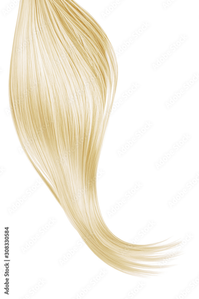 Blond shiny hair on white background, isolated. Long ponytail Blond shiny hair on white background, isolated. Long ponytail