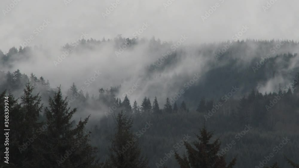 Smoke Fog And Rain Pass Through Forest Hills Real Time