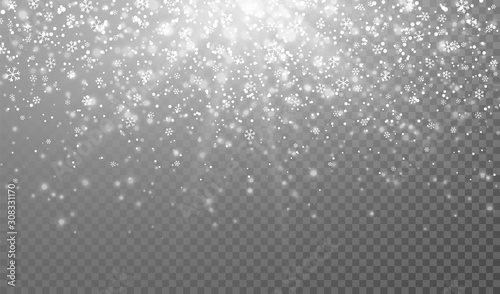 Falling snowflakes on transparent background. Christmas snow. Vector illustration