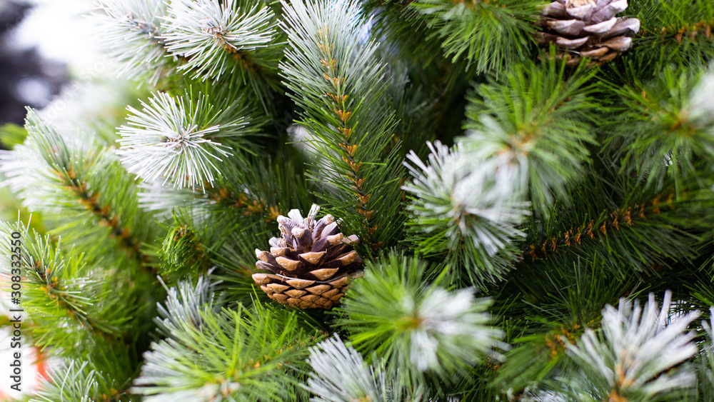 Beautiful Christmas tree with green needles covered with snow and natural cones. Artificial spruce branch with cones for decoration New Year and Christmas holiday Beautiful Christmas tree with green needles covered with snow and natural cones. Artificial spruce branch with cones for decoration New Year and Christmas holiday