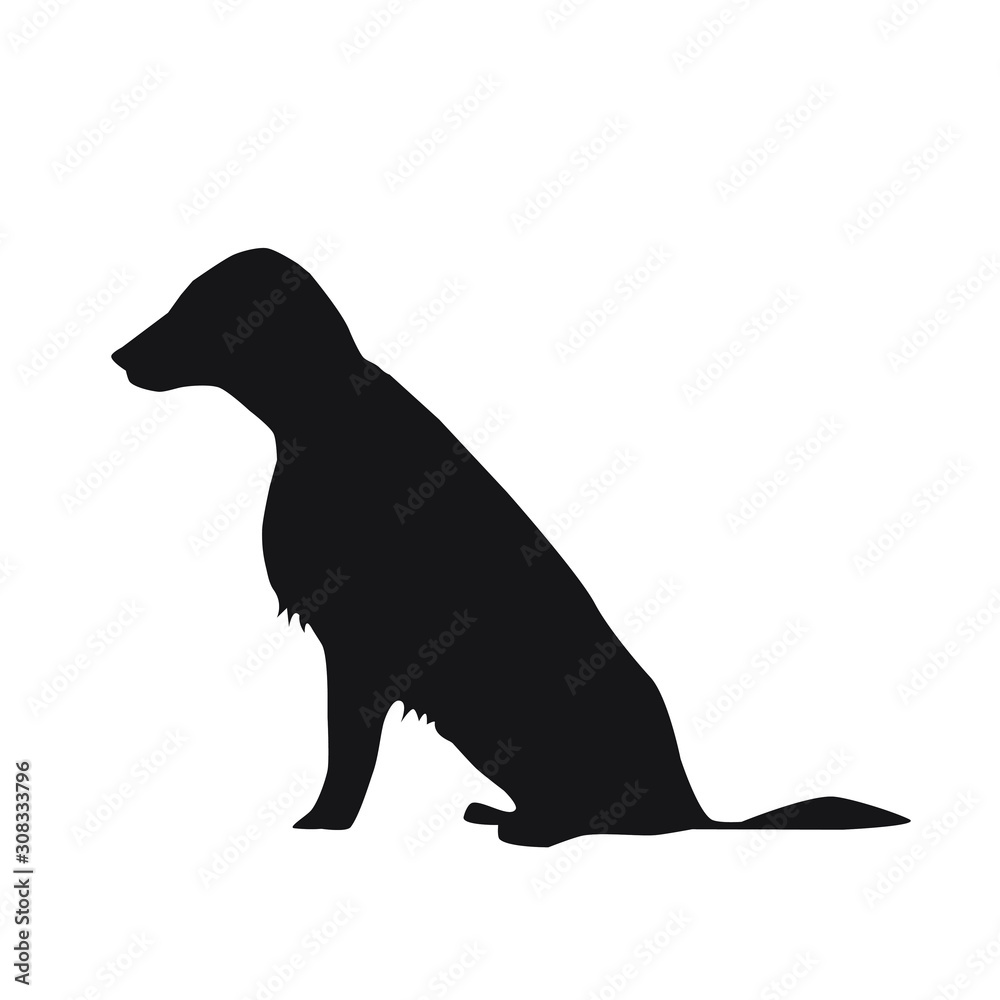 Black silhouette of a dog Setter