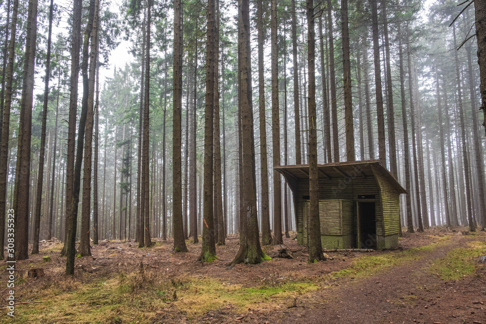 Hut in foggy forest on the way to Javorník lookout tower. Autumn color and mood. Javornik/Šumava, Czech Republic Hut in foggy forest on the way to Javorník lookout tower. Autumn color and mood. Javornik/Šumava, Czech Republic