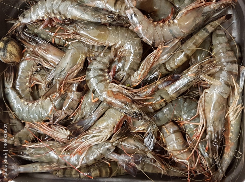 Fresh sea prawns in metal trays brought to the seafood market