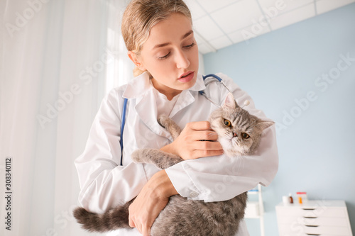 Veterinarian with cute cat ...