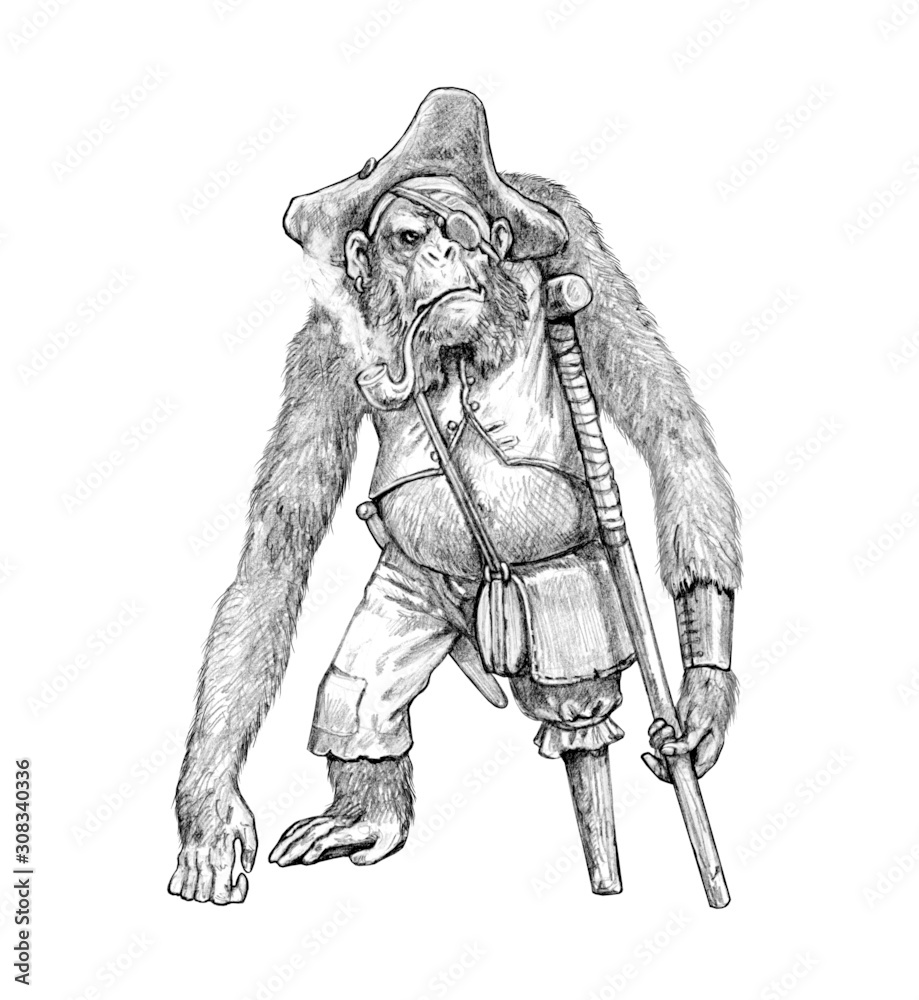 Fototapeta premium Funny chimp pirate. Big ape with a pipe. Chimpanzee illustration.