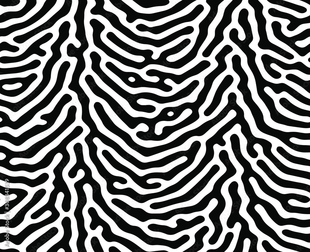 Full seamless zebra and tiger stripes animal skin pattern illustration. Black and white vector design for textile fabric printing. Fashionable and home design fit. Full seamless zebra and tiger stripes animal skin pattern illustration. Black and white vector design for textile fabric printing. Fashionable and home design fit.