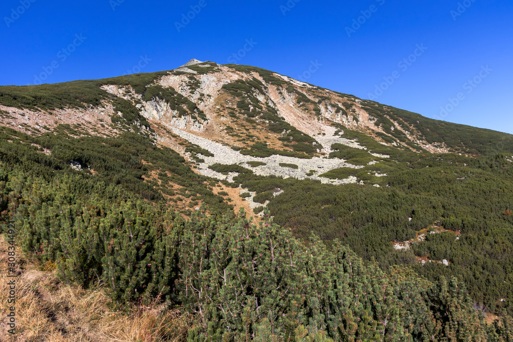 Fototapeta premium Landscape with Bezbog peak, Pirin Mountain, Bulgaria