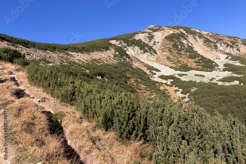 Landscape with Bezbog peak  Pirin Mountain  Bulgaria