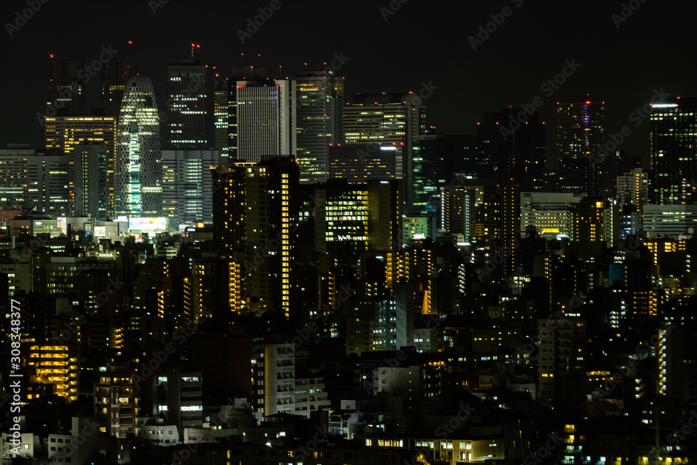 Tokyo Shinjuku area nightview Tokyo Shinjuku area nightview