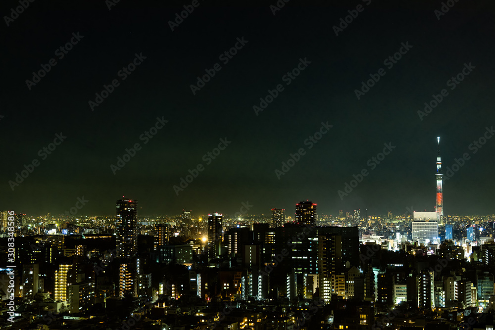 Fototapeta premium Tokyo skytee nightview