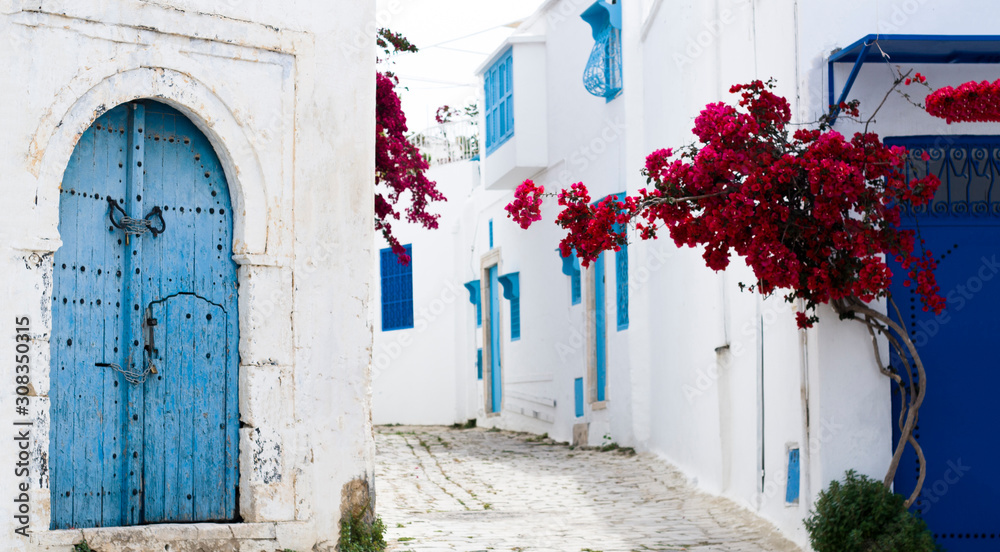 Εκτύπωση καμβά Blue doors, window and white wall of building in Sidi Bou Said.