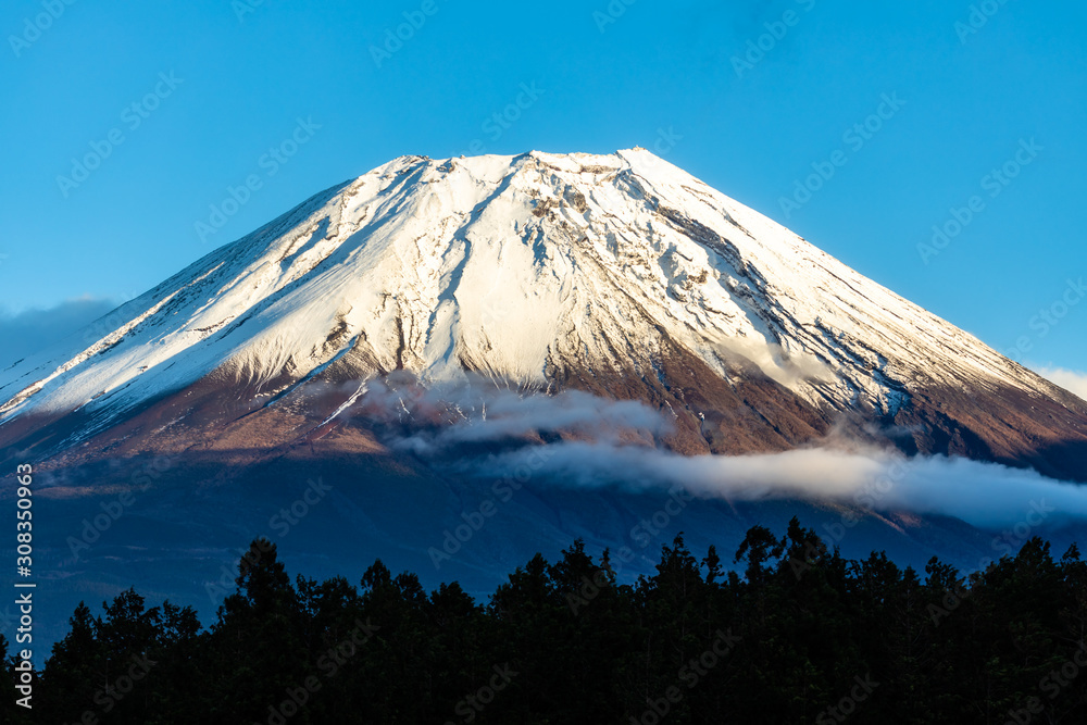 Mt. Fuji